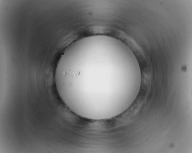 X0000102540422200808221933