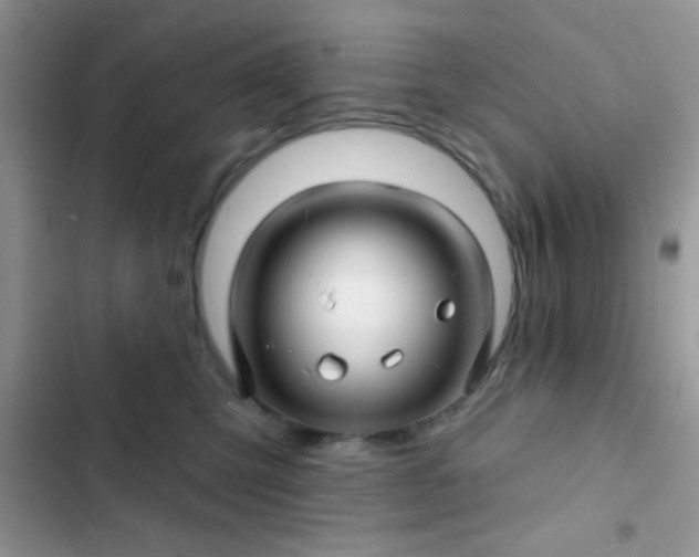 X0000102540423200808221933