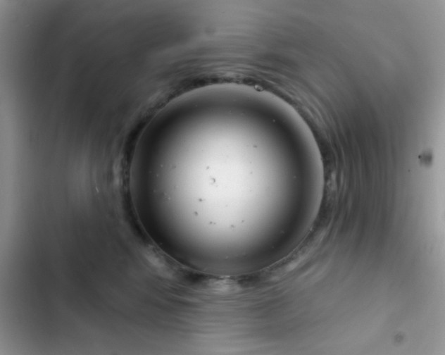 X0000102540424200808221933