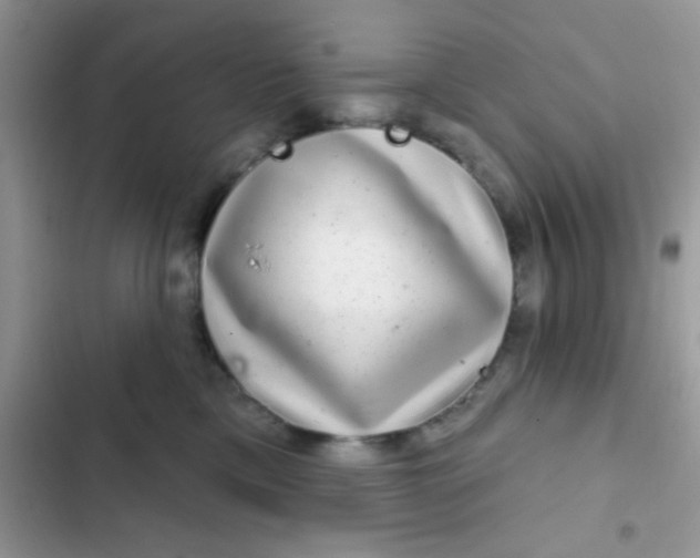 X0000102540425200808221933