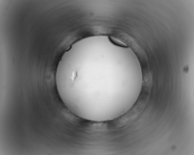 X0000102540426200808221933