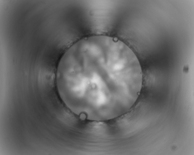 X0000102540427200808221933