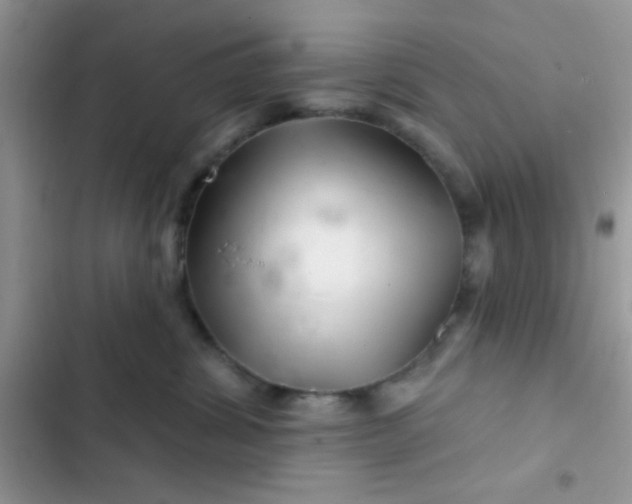 X0000102540428200808221933