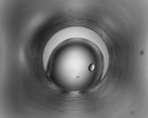 X0000102540429200808221933