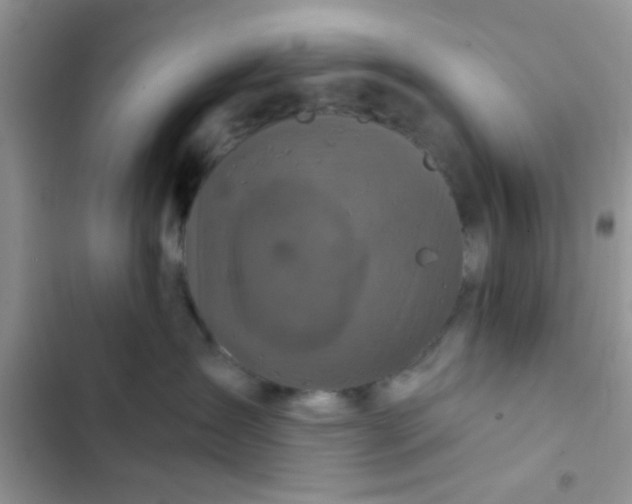 X0000102540431200808221933