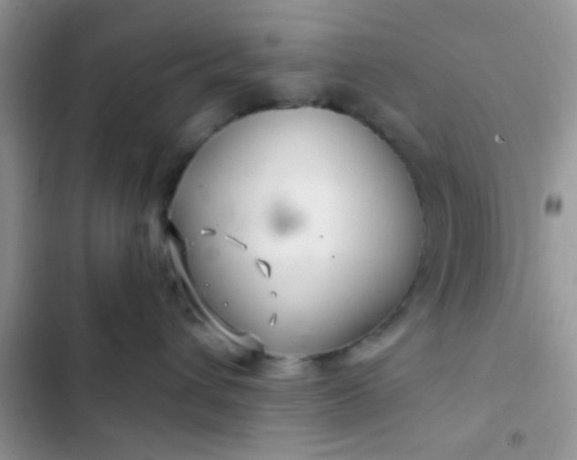 X0000102540432200808221933