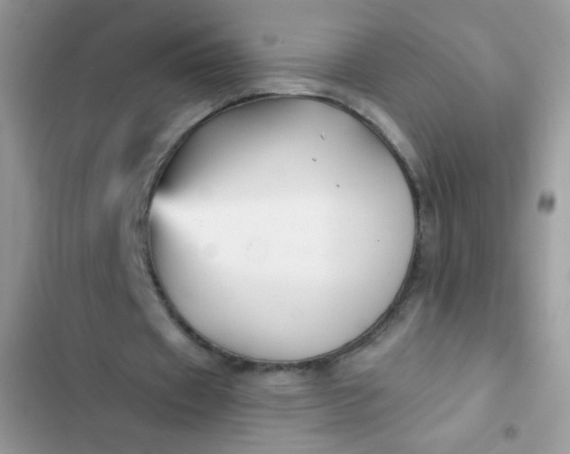 X0000102540433200808221932