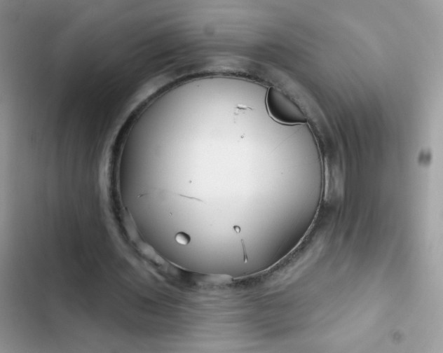 X0000102540435200808221932