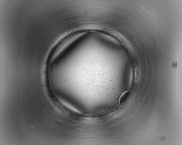 X0000102540436200808221932