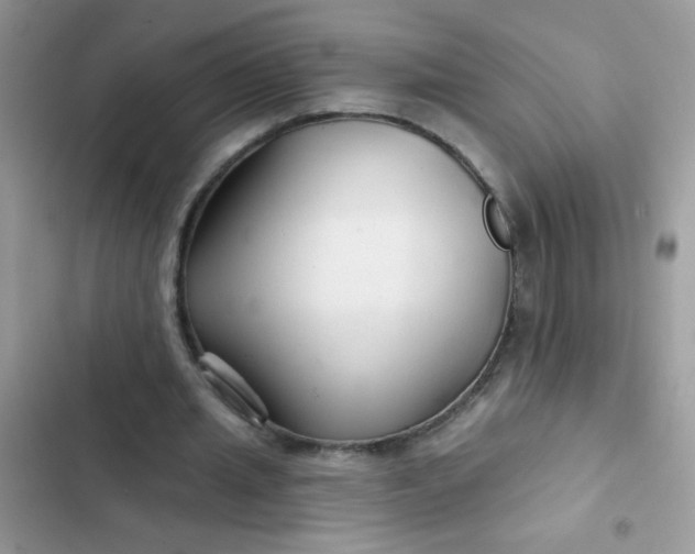 X0000102540437200808221932
