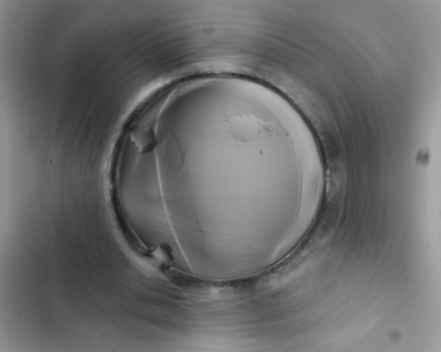 X0000102540438200808221932