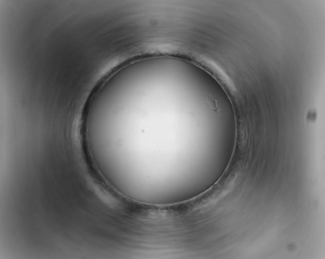 X0000102540439200808221932