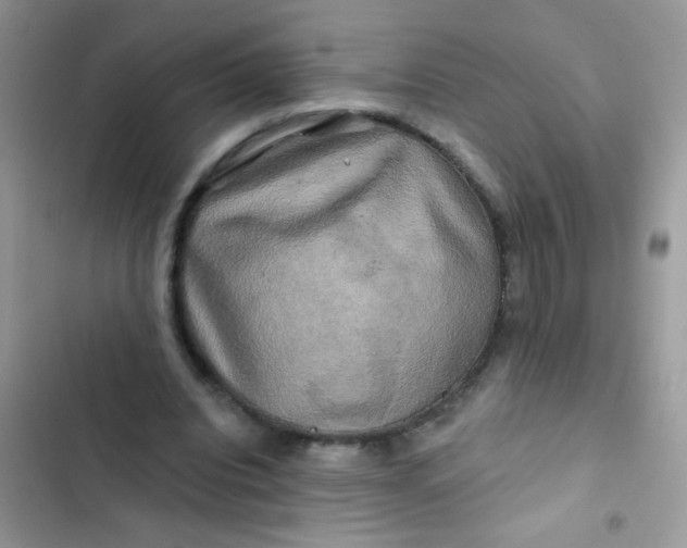 X0000102540440200808221932