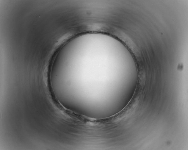 X0000102540442200808221932