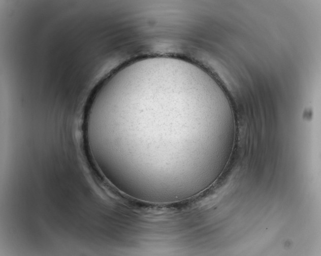 X0000102540443200808221932