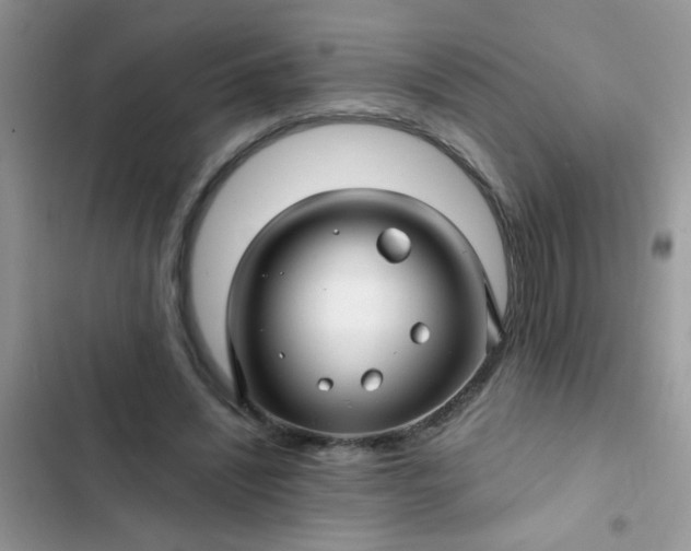 X0000102540444200808221932
