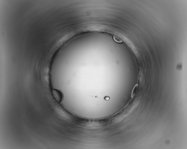 X0000102540445200808221932