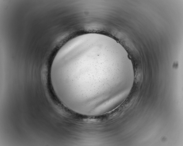 X0000102540448200808221932