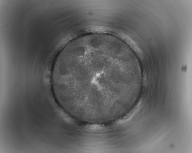 X0000102540449200808221932