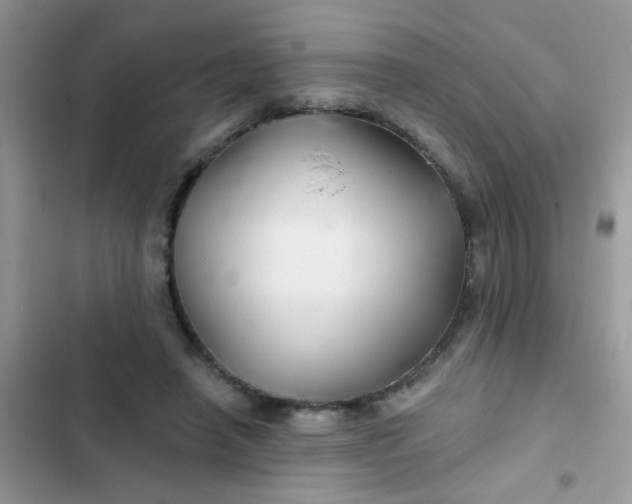 X0000102540450200808221932