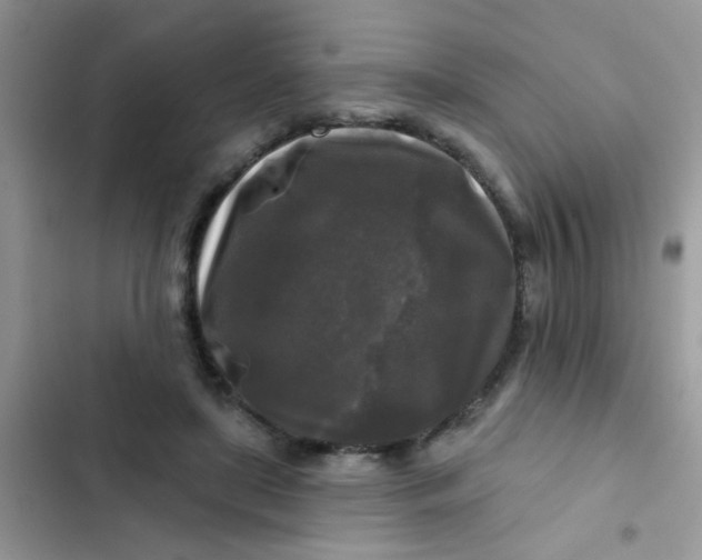 X0000102540451200808221932