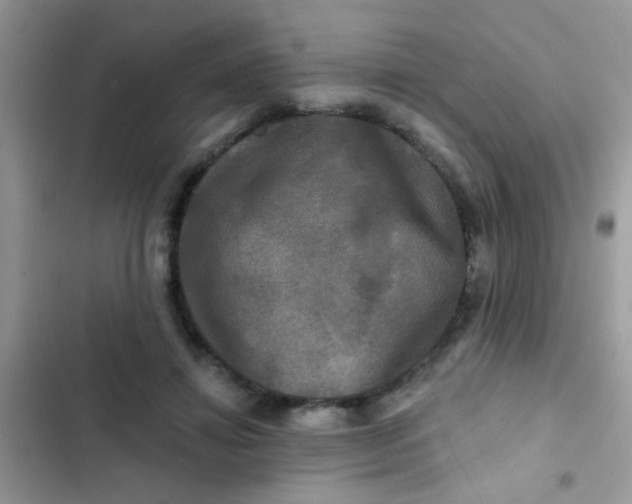 X0000102540452200808221932