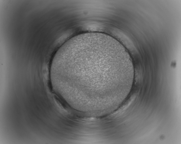 X0000102540453200808221932