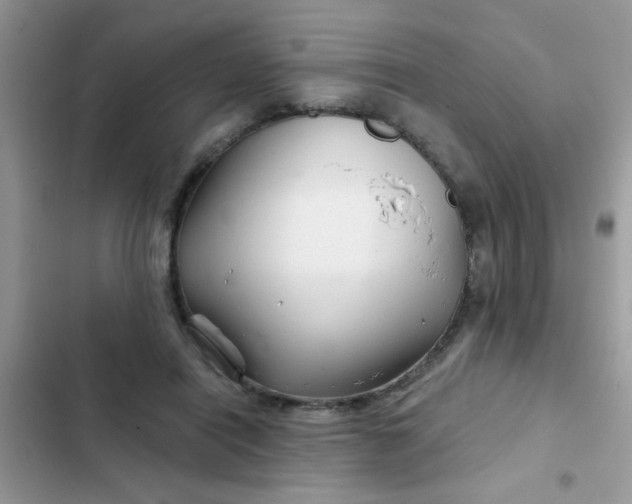 X0000102540454200808221932