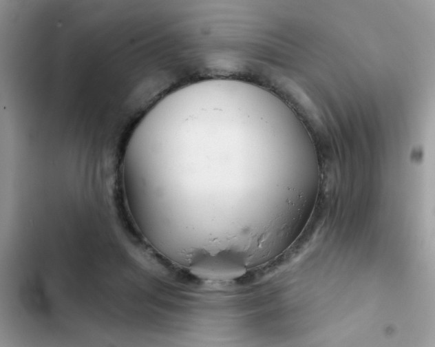 X0000102540455200808221933