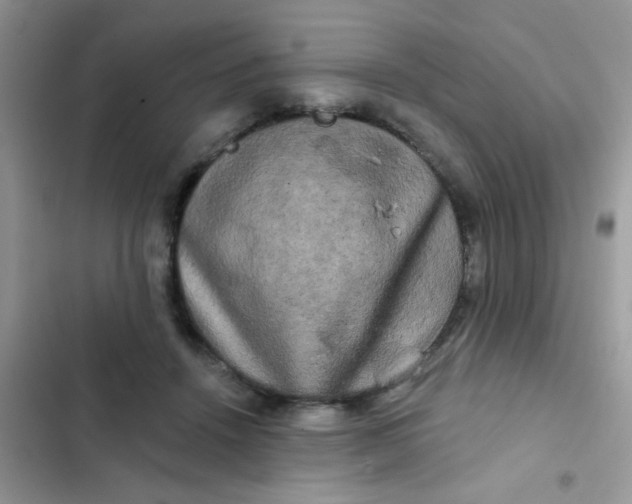 X0000102540456200808221933
