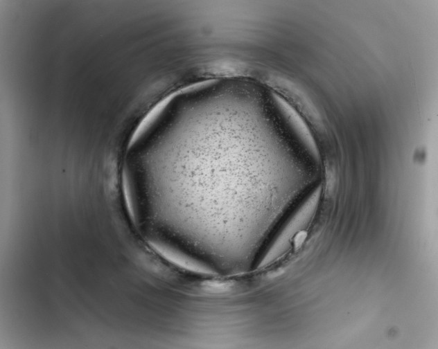 X0000102540457200808221933