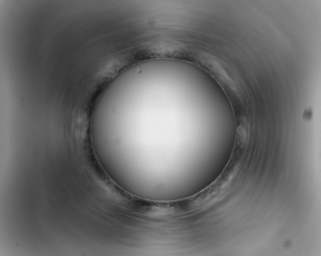 X0000102540458200808221933