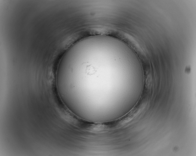 X0000102540459200808221933