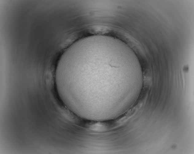 X0000102540460200808221933