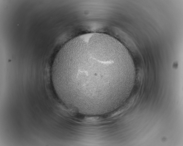 X0000102540461200808221933