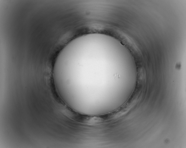 X0000102540463200808221933