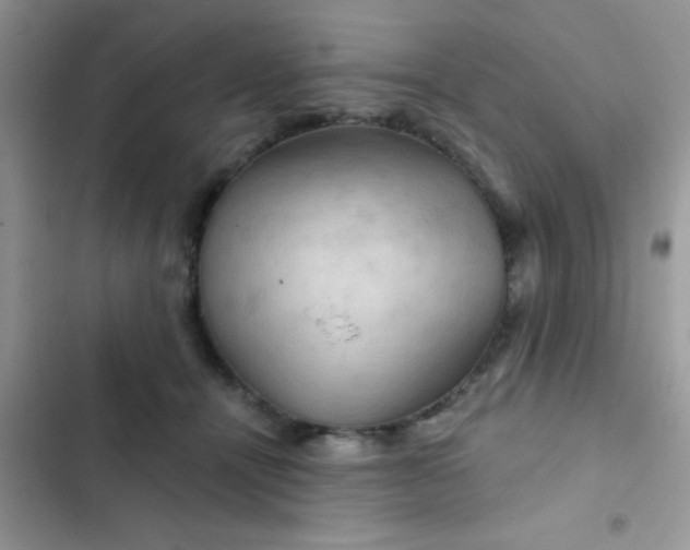 X0000102540464200808221933
