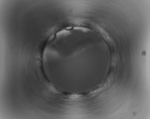 X0000102540465200808221933