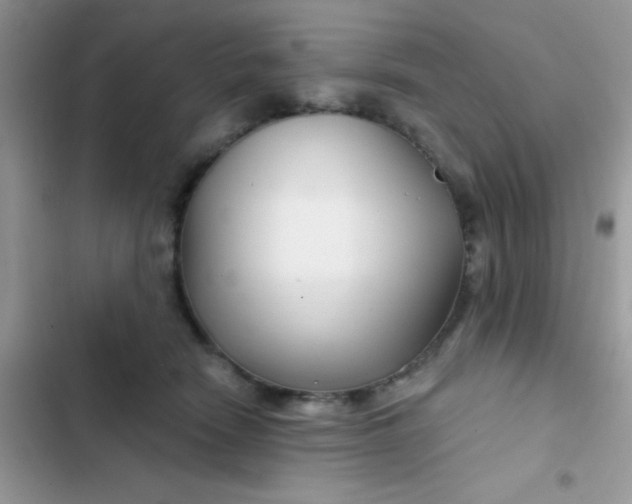 X0000102540466200808221933