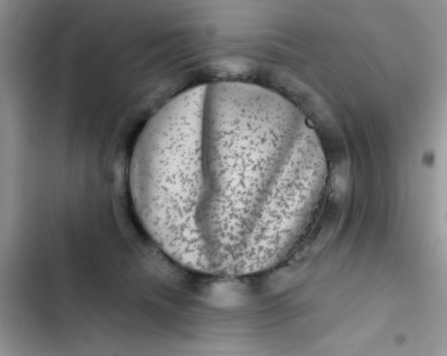 X0000102540468200808221933