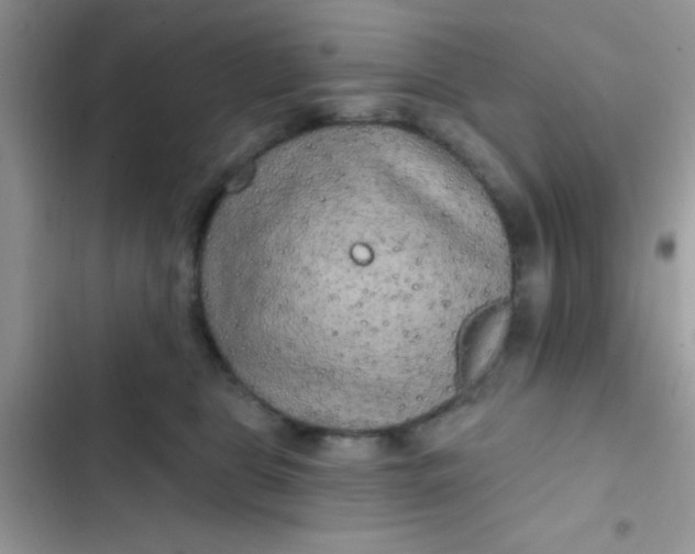 X0000102540469200808221933