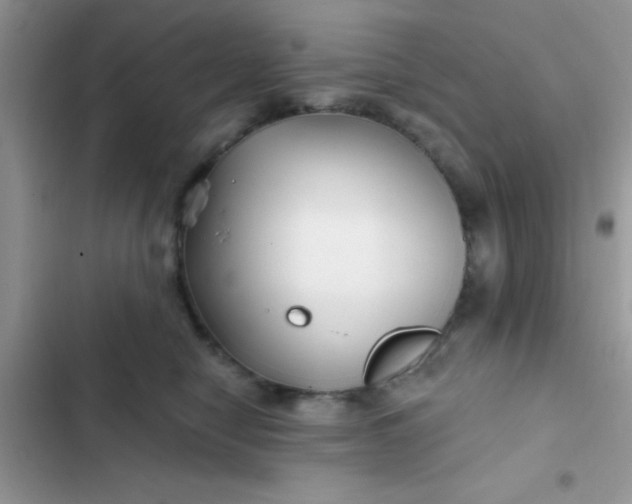 X0000102540470200808221933