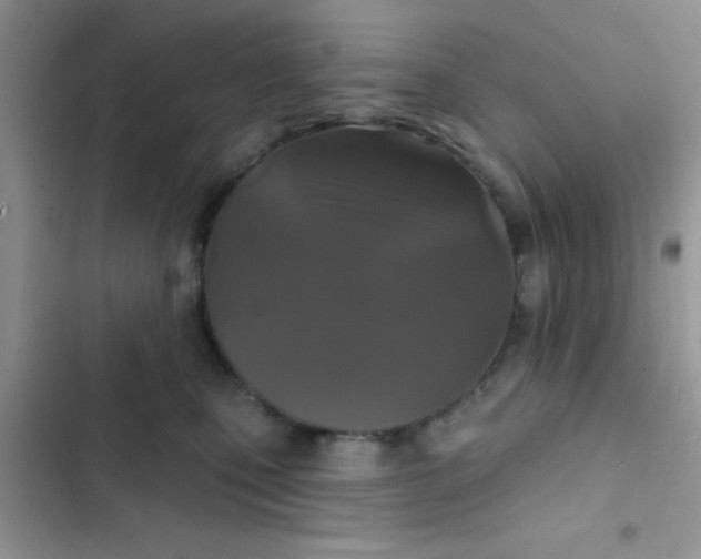 X0000102540471200808221933