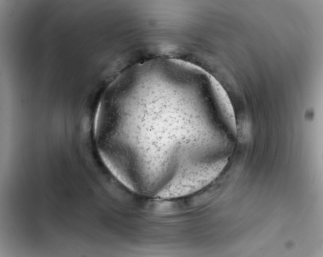 X0000102540472200808221933
