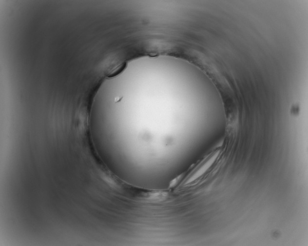 X0000102540474200808221933