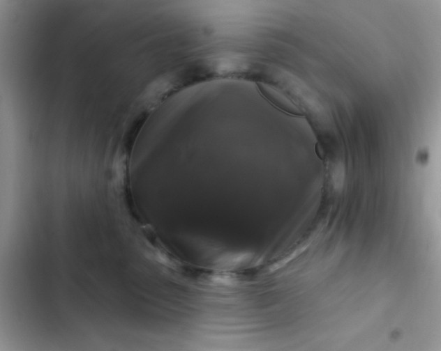 X0000102540475200808221933