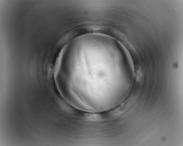 X0000102540476200808221933
