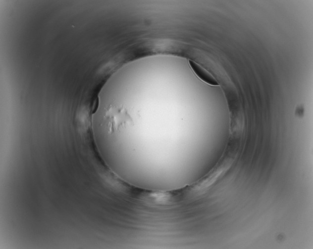 X0000102540478200808221933