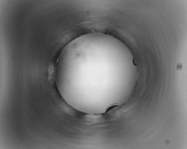 X0000102540480200808221933