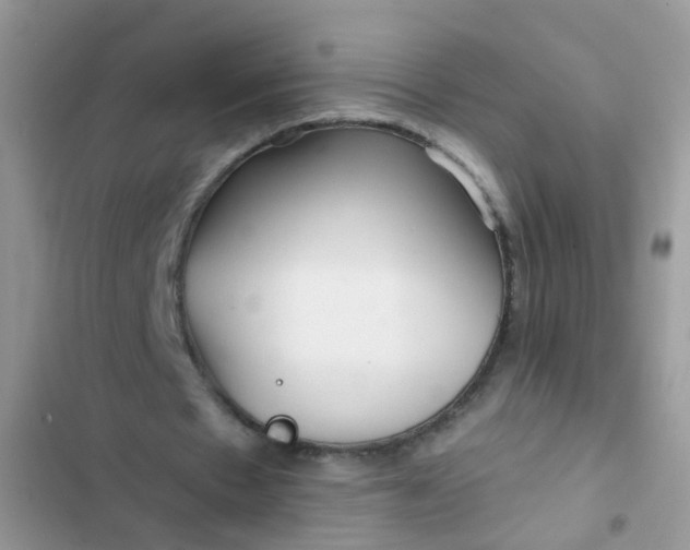 X0000102540481200808221932